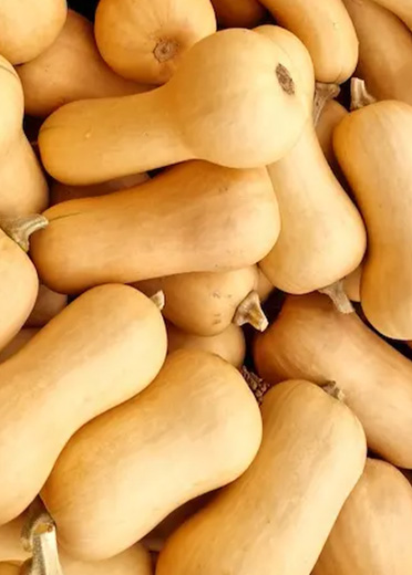 Butternut - 7kg Bulk Pack
