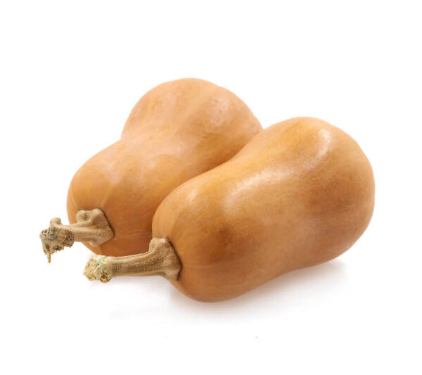 Butternut - Pack of 2