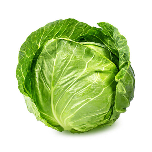 Green Cabbage Head
