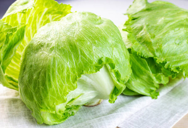 Iceberg Lettuce