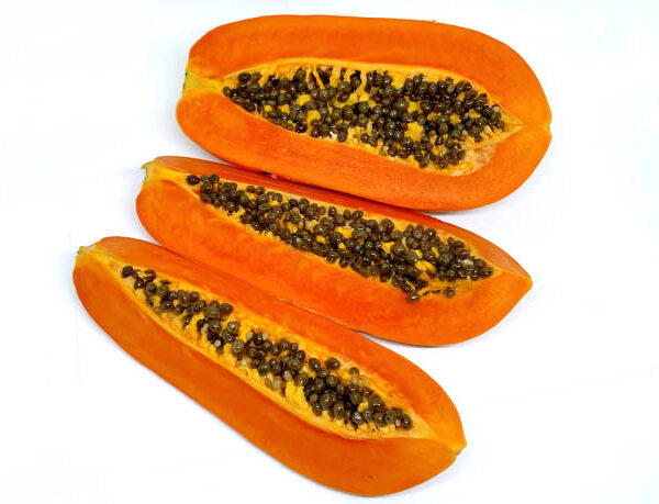 Papaya - Pack of 3
