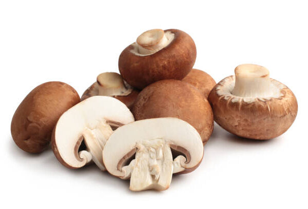 Portobello Mushroom