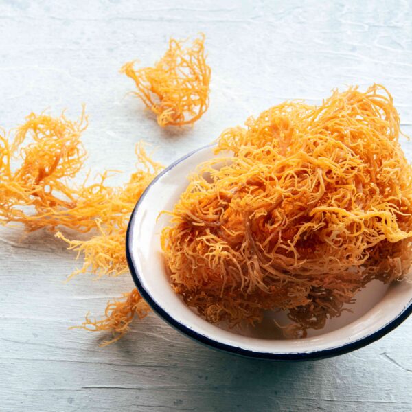 Sea Moss 500g