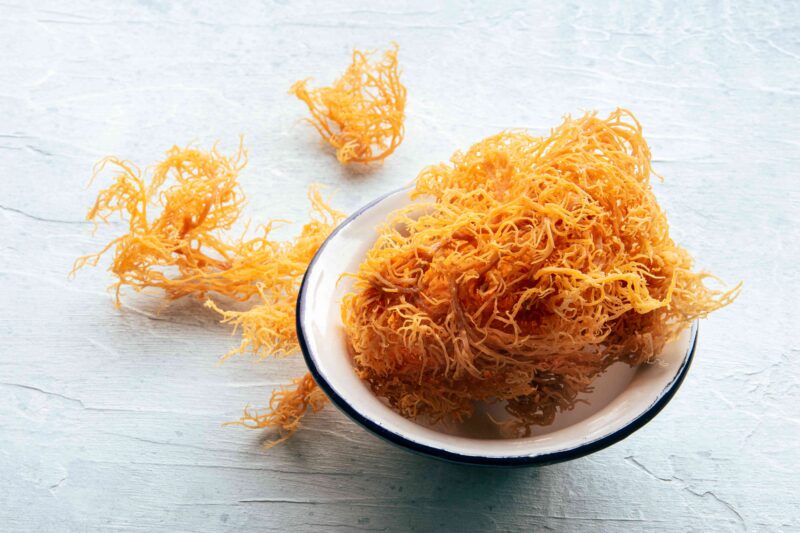 Sea Moss 500g