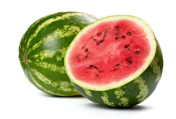 Melon Medium